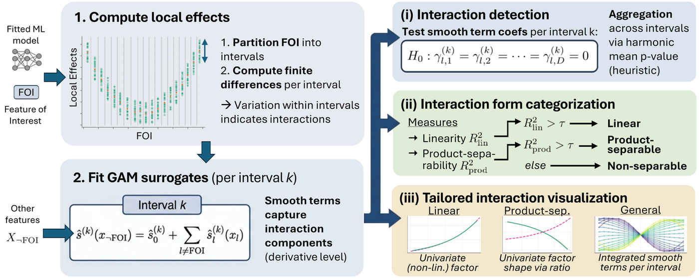 Overview diagram of the SAILS framework: step 1 computes local effects by partitioning the feature of interest into intervals and taking finite differences; step 2 fits a GAM surrogate per interval; the smooth terms then feed interaction detection via a hypothesis test, interaction form categorization via the linearity and product-separability measures, and three tailored visualizations.