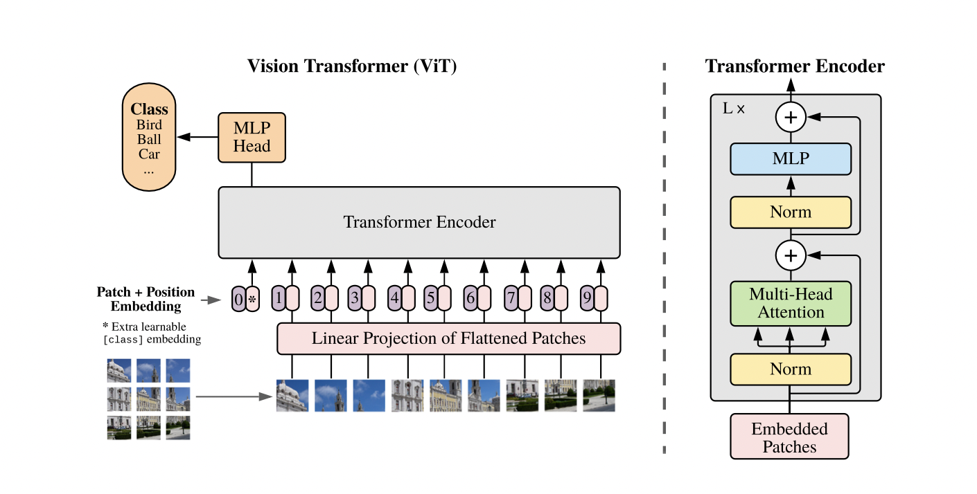 Vision Transformer (Dosovitskiy, Beyer, Kolesnikov, Weissenborn, Zhai, Unterthiner, Dehghani, Minderer, Heigold, Gelly, Uszkoreit, et al. 2020b).