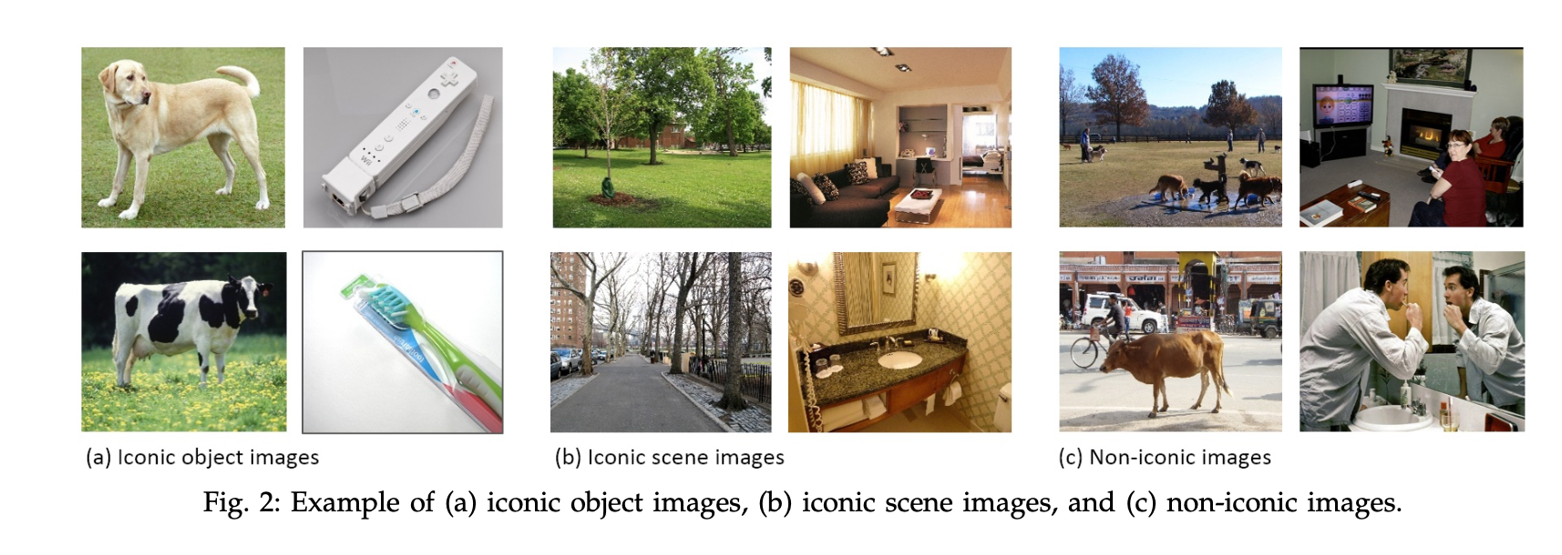 Type of images in the data set (T.-Y. Lin, Maire, Belongie, Hays, Perona, Ramanan, Dollár, and Zitnick 2014b).