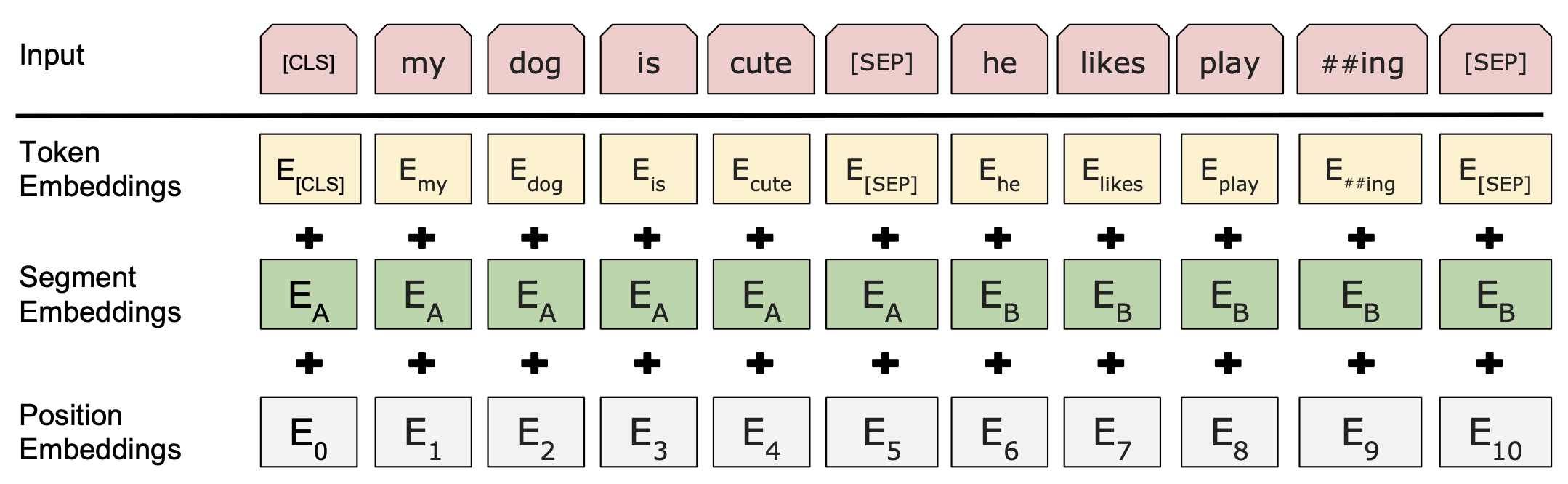 BERT input representation